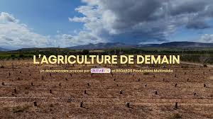 L’agriculture durable en Afrique : concilier pratiques traditionnelles et approches nouvelles